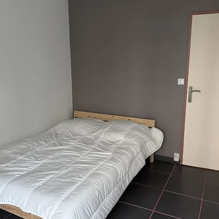 Spacious With Balcony Apartment Lyon
